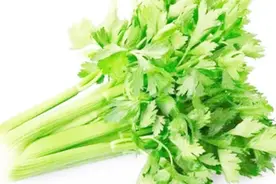 芹菜的功效与作用有哪些？视频封面