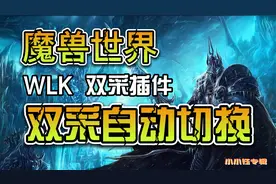 魔兽世界怀旧服  WLK   双采自动切换—插件详解视频封面