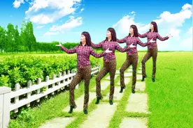 16步广场舞《驴在飞》，零基础踩点练习，跳舞再笨也能学会