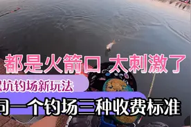 钓场新玩法 放鱼六吨 三种收费标准 如果是你 你会选择哪个价格视频封面