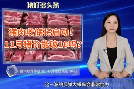 猪肉收储即将启动！11月中旬猪价一举突破10元/斤？抓住时机出栏