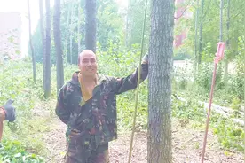 现在杨树掉价了，多少钱一吨？听农村收树师傅给的什么价，合适吗