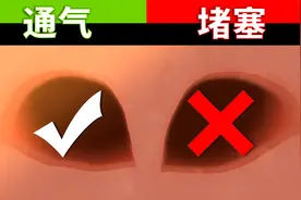 感冒鼻塞时，为什么鼻孔总是一边通气一边不通气？
