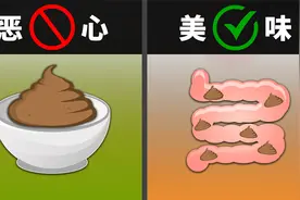为什么装过屎的碗洗干净没人用，装过屎的大肠却很多人爱吃？视频封面