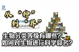 了解生物分类等级，学习对生物科学命名的方法，详细为你讲解