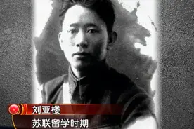 刘亚楼当天津战役的总指挥，是因林彪偏爱？听听背后的原因|档案视频封面