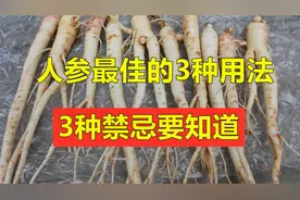 中老年使用人参，3种用法最合适，不浪费易吸收，3种禁忌要了解。