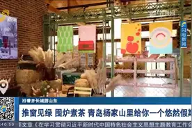 推窗见绿、围炉煮茶，青岛杨家山里给你一个悠然假期视频封面
