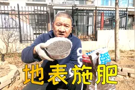 这种黑色颗粒有机肥怎样使用？园艺老手分享简单方法，太方便啦！