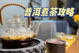 阳康后，来煮茶～普洱煮茶攻略视频封面