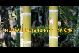 华为Mate40超大杯影像体验，看最强麒麟手机是否名不虚传？视频封面