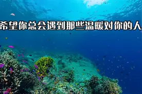 人还是要乐观，心碎了就对自己说，碎碎平安。