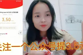 关注一个公众号就得3.5元，一天能赚几百？越南媳妇查才知真相视频封面
