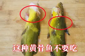 夏天吃黄骨鱼有讲究，这种黄骨鱼不宜多吃，涨知识了视频封面