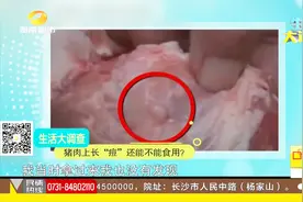 起了痘痘的猪肉您见过吗？这样的猪肉还能吃么？专家这样说