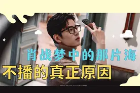 肖战梦海不播的真正原因视频封面