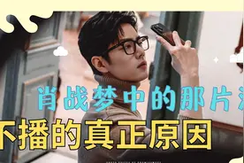 肖战梦海不播的真正原因视频封面