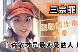 熊磊为争房产，自揭诈捐75万内幕？许敏成整个事件最大受益人视频封面