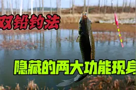 双铅钓法到底有多厉害！不仅避小鱼而且适合水底不平，野钓必备视频封面