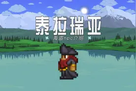 泰拉瑞亚：老哥为大家介绍，海盗npc视频封面