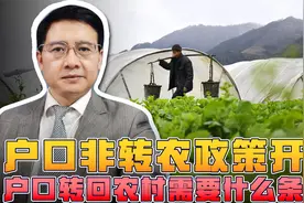 “非转农”山东户改：进城人员可回原籍落户，有宅基地可分吗？视频封面