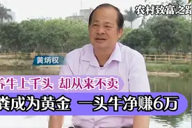 农村大叔养牛几乎零成本，有牛4000头却舍不得卖，靠牛粪身价上亿视频封面
