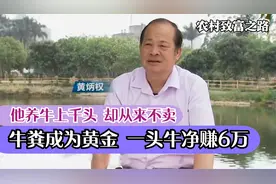 农村大叔养牛几乎零成本，有牛4000头却舍不得卖，靠牛粪身价上亿视频封面