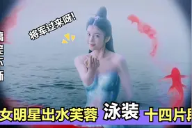 女明星出水芙蓉：美人鱼魅惑术，杨幂身材好羡慕，金星泳装有风度视频封面