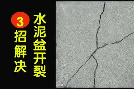 学会这3招儿，完全解决水泥花盆开裂问题，简单实用。