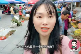 湖南农村赶集草药一条街，看看湘西真正的中草药，你们见过几种？视频封面