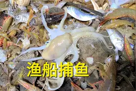 花680包大型渔船出海捕鱼，大家觉得划算吗视频封面
