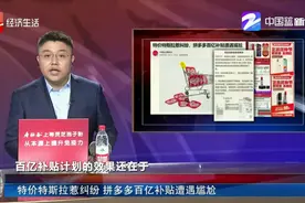 特价特斯拉惹纠纷 拼多多百亿补贴遭遇尴尬