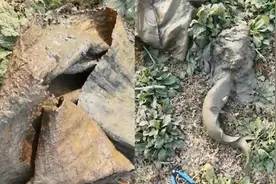 男子河边钓鱼意外钓到布袋，拖上岸一看网友炸锅：该去买彩票了视频封面