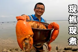 赶海抓了个大蟹王，海边架上锅直接炖，真香！视频封面