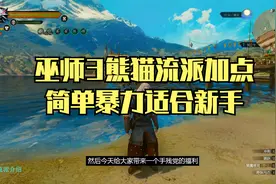 巫师3熊猫派加点详解（可肉可输出，手残党必备）视频封面