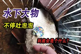 水底下突然冒出大量泡泡，是不是生小乌龟的大乌龟，挖坑一探究竟视频封面