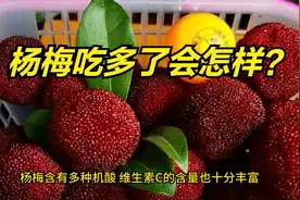 杨梅吃多了会怎样？台州两人因此送医 医生:肾功能不好的人要注意视频封面