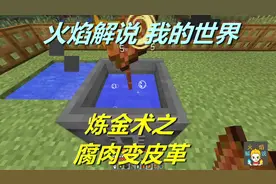 火焰解说 我的世界 魔法神秘领域 5803 炼金术之腐肉变皮革