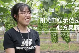 北方果蔬阳光工程-阳光玫瑰示范园--龙口大金家陶颖视频封面