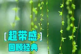 相信自己的直觉，顽固的人不喊累，重温经典视频封面