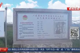 汕头“农田里违规养田鸡”追踪 已取缔清理 重新种植农作物视频封面