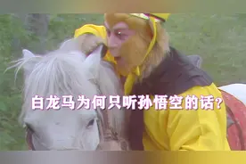 唐僧师徒四人，白龙马为何唯独只听孙悟空的话？看完你就知道了！视频封面