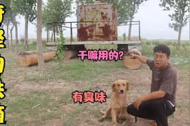 水库意外发现大铁箱，大锁锁着里边还传出臭味，这铁箱是干嘛用的视频封面