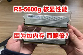 5600g核显性能，加根内存就翻倍？简单测试双通道对核显性能影响