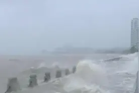 纪录片：特大台风席卷湛江，直接损失超120亿，现场惨状揪心！视频封面