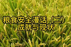 粮食安全漫话（二）成就与现状视频封面