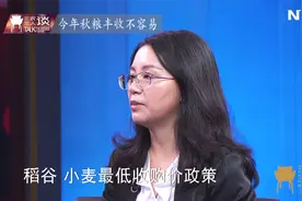 稻谷小麦最低收购价，每斤提高一分钱