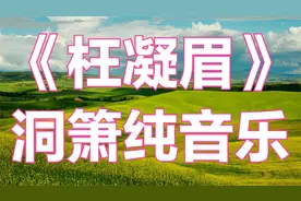 洞箫独奏《枉凝眉》古典纯音乐，真的太好听了。