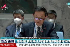 中方欢迎安理会通过叙利亚跨境人道救援授权延期决议视频封面