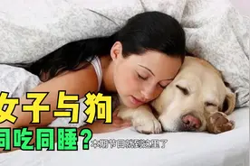 23岁女子与狗同吃同睡，谁知半年后肚子疼痛，医生检查后情绪失控视频封面